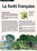 Les Ouvrages | Petit Guide | En France, l'histoire de nos forêts commence il y a environ 12000 ans.