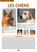 Les Ouvrages | Petit Guide | Du Berger allemand au Setter irlandais,  42 races de chiens à découvrir !