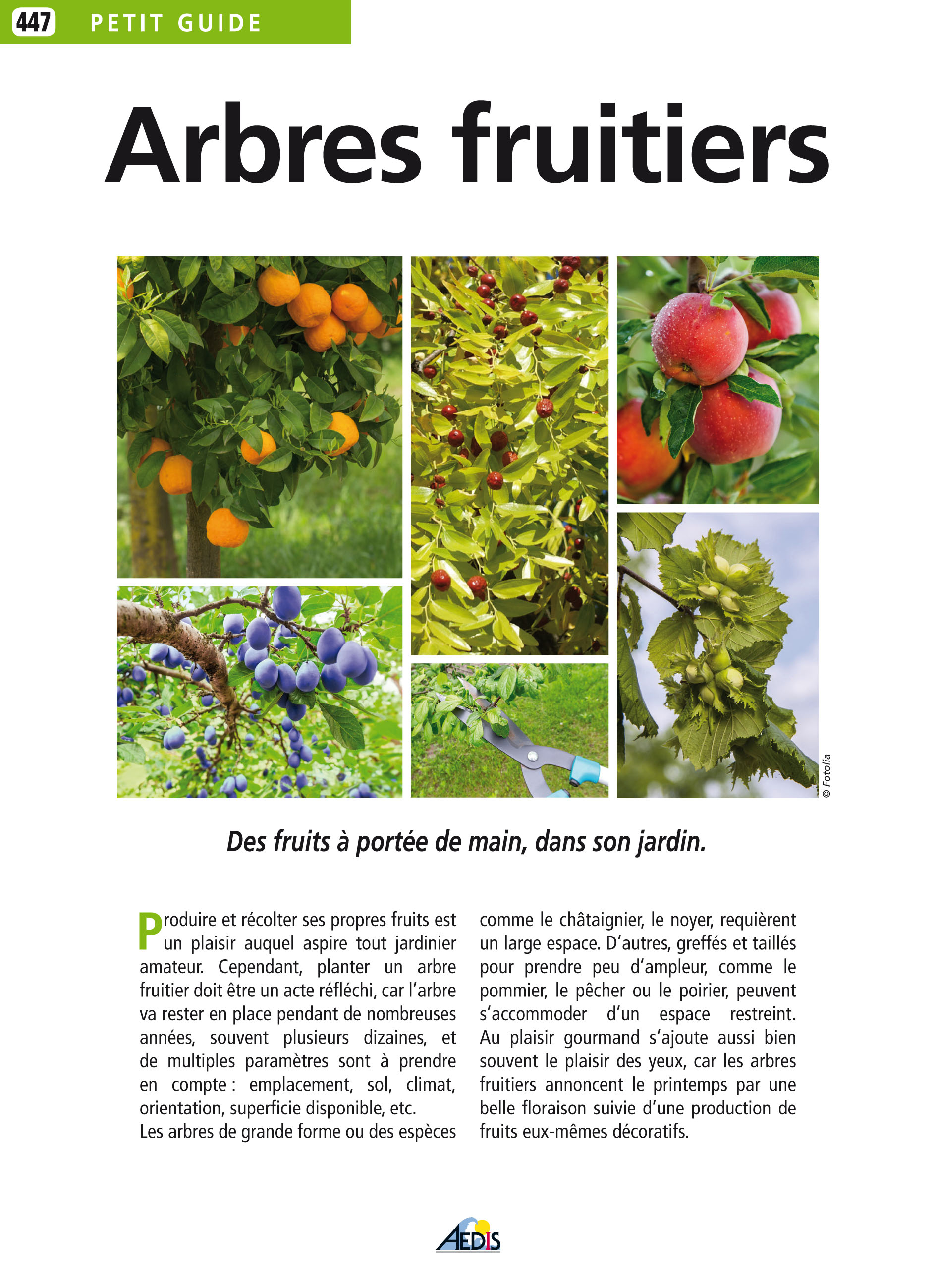 Arbres fruitiers et Petits fruits