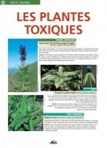 Les Ouvrages | Petit Guide | Découvrez les plantes toxiques qui parsèment la nature...