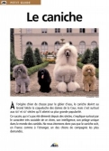 Les Ouvrages | Petit Guide | À l'origine chien de chasse pour le gibier d'eau, le caniche devint au Grand Siècle la coqueluche des dames de la Cour.