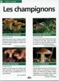 Les Ouvrages | Petit Guide | Les champignons que l'on peut rencontrer