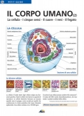 Les Ouvrages | Petit Guide | La cellula, i cinque sensi, il cuore, i reni e il fegato
