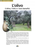 Les Ouvrages | Petit Guide | L'oliva, l'olio e i loro benefici...