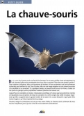 Les Ouvrages | Petit Guide | De tout temps les chauves-souris ont fasciné les hommes...