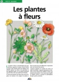 Les Ouvrages | Petit Guide | Dans votre jardin, dans les champs, en pot ou en bouquet...