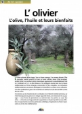 Les Ouvrages | Petit Guide | 																																												L'olive, l'huile et leurs bienfaits...
										
										
										
										